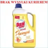 Dual uniwersalny płyn do podłóg 5L. Agrumi /2/